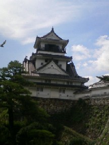 高知城.jpg